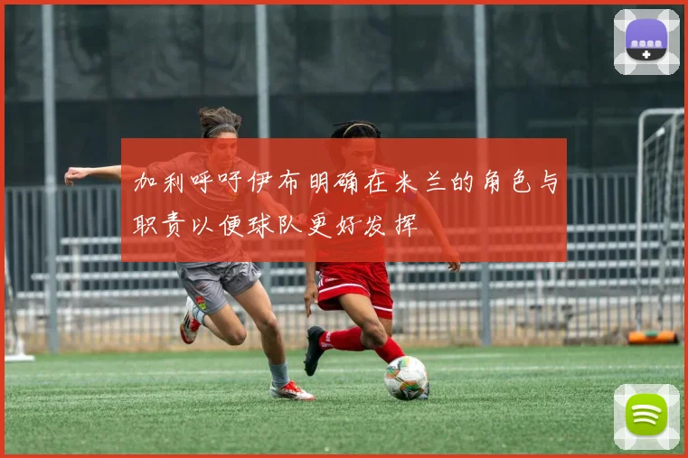 加利呼吁伊布明确在米兰的角色与职责以便球队更好发挥
